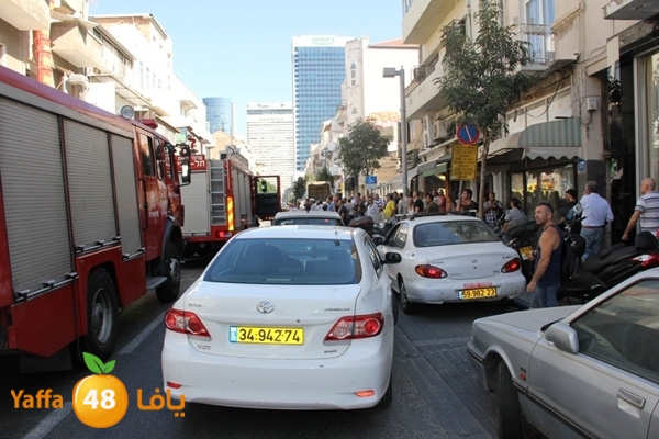 mabna inu910y (17).JPG